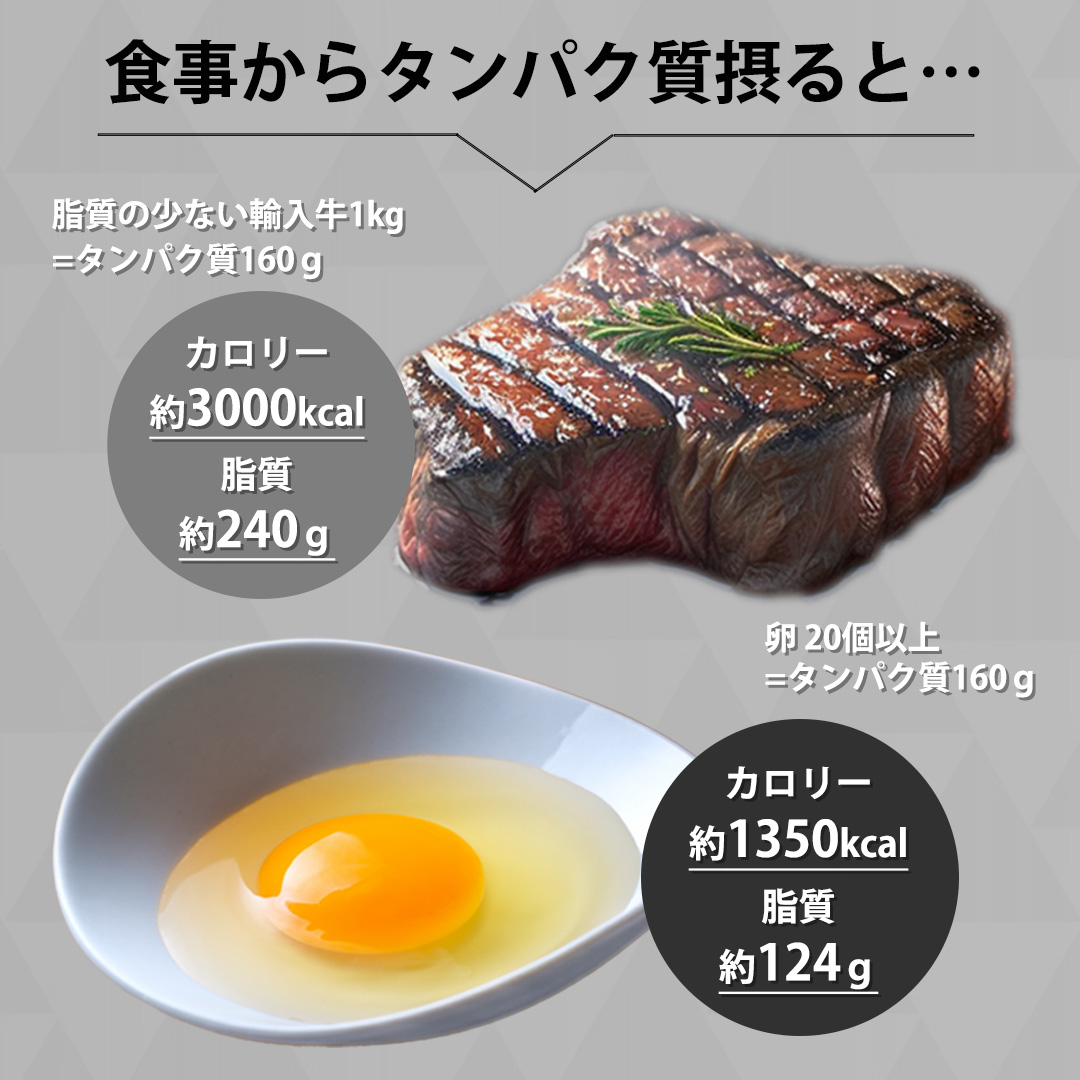 食事からタンパク質を摂ると…